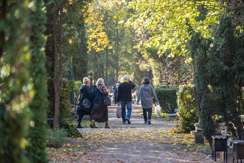 Tłumy na wrocławskich nekropoliach. Zobaczcie zdjęcia, 1 listopada 2024