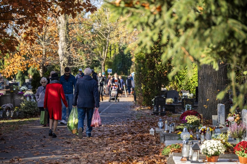 Tłumy na wrocławskich nekropoliach. Zobaczcie zdjęcia, 1 listopada 2024