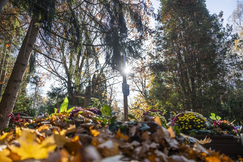 Tłumy na wrocławskich nekropoliach. Zobaczcie zdjęcia, 1 listopada 2024