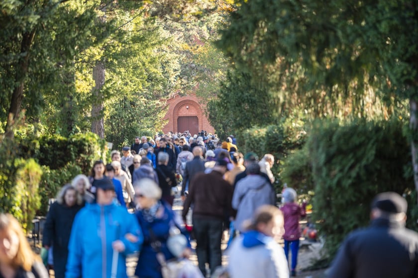 Tłumy na wrocławskich nekropoliach. Zobaczcie zdjęcia, 1 listopada 2024
