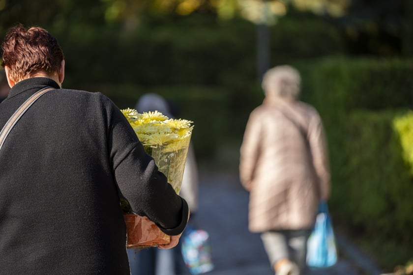Tłumy na wrocławskich nekropoliach. Zobaczcie zdjęcia, 1 listopada 2024