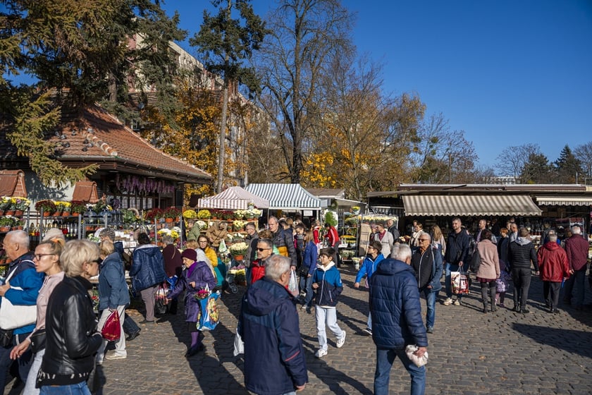 Tłumy na wrocławskich nekropoliach. Zobaczcie zdjęcia, 1 listopada 2024