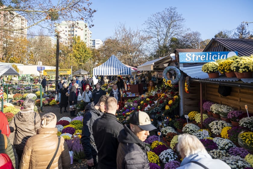 Tłumy na wrocławskich nekropoliach. Zobaczcie zdjęcia, 1 listopada 2024