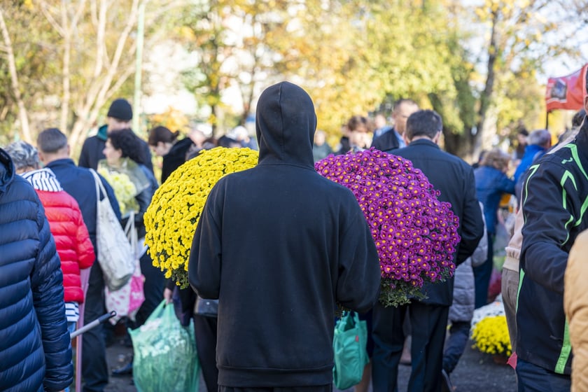 Tłumy na wrocławskich nekropoliach. Zobaczcie zdjęcia, 1 listopada 2024