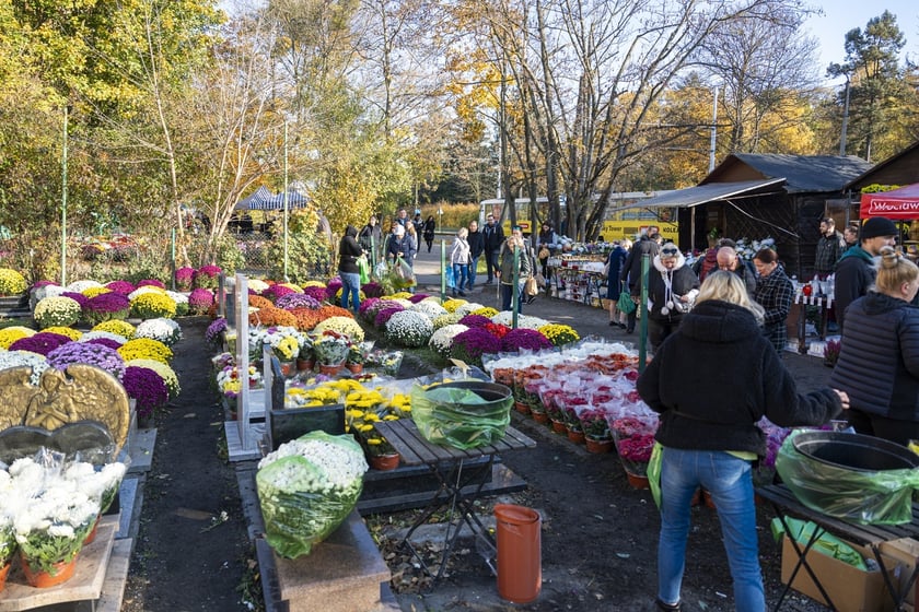 Tłumy na wrocławskich nekropoliach. Zobaczcie zdjęcia, 1 listopada 2024