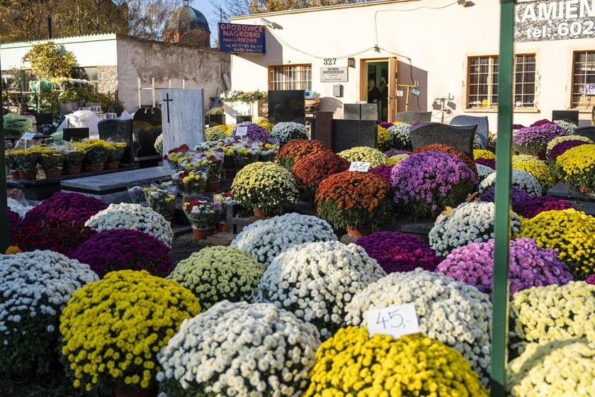 Tłumy na wrocławskich nekropoliach. Zobaczcie zdjęcia, 1 listopada 2024