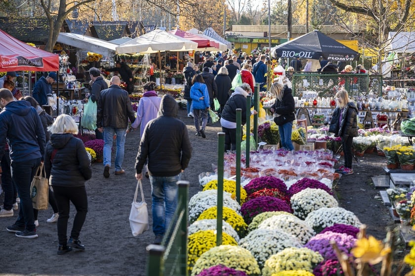 Tłumy na wrocławskich nekropoliach. Zobaczcie zdjęcia, 1 listopada 2024