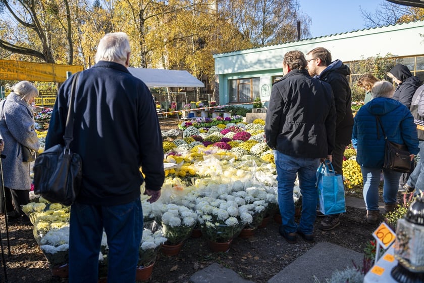 Tłumy na wrocławskich nekropoliach. Zobaczcie zdjęcia, 1 listopada 2024