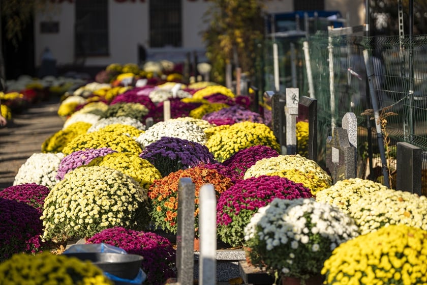 Tłumy na wrocławskich nekropoliach. Zobaczcie zdjęcia, 1 listopada 2024