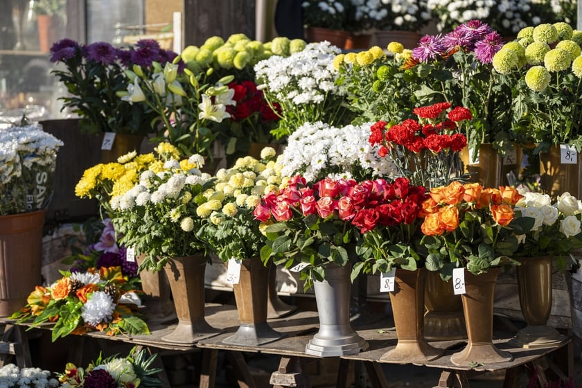 Tłumy na wrocławskich nekropoliach. Zobaczcie zdjęcia, 1 listopada 2024