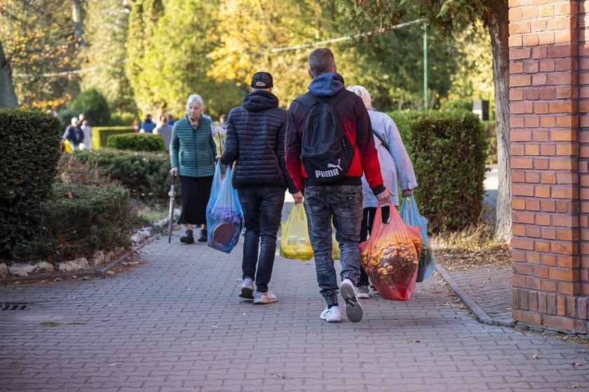 Tłumy na wrocławskich nekropoliach. Zobaczcie zdjęcia, 1 listopada 2024