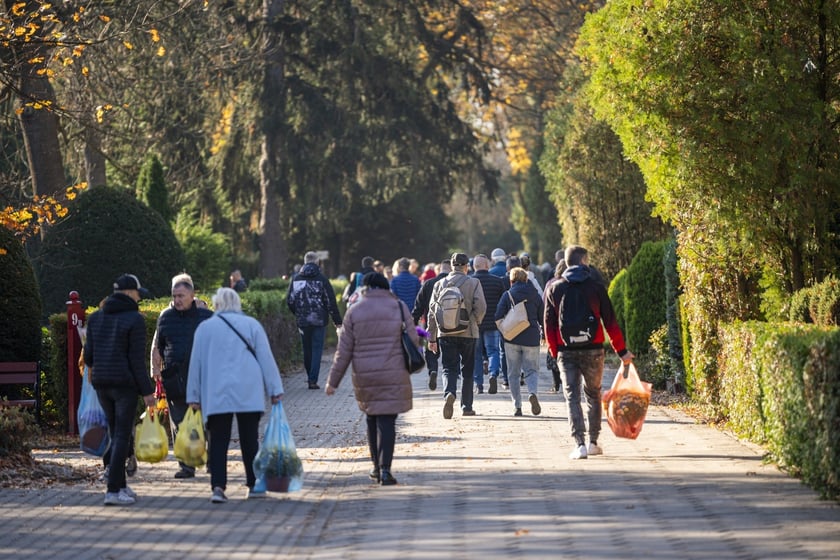 Tłumy na wrocławskich nekropoliach. Zobaczcie zdjęcia, 1 listopada 2024