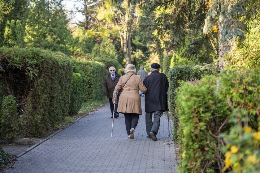 Tłumy na wrocławskich nekropoliach. Zobaczcie zdjęcia, 1 listopada 2024