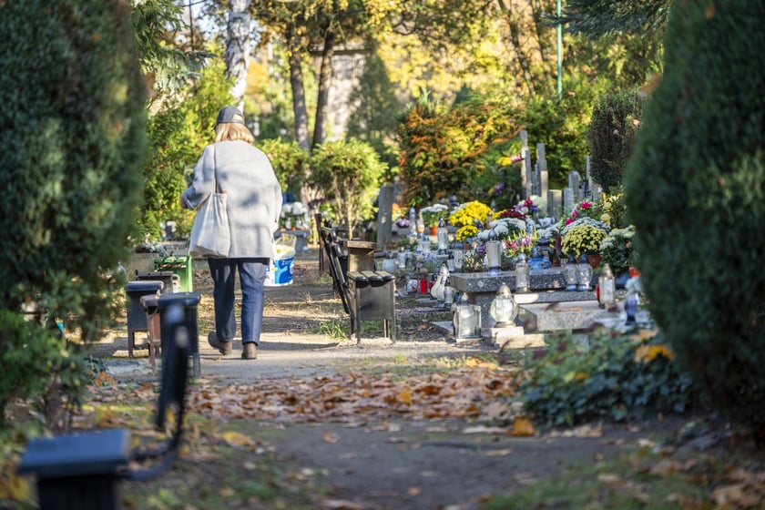 Tłumy na wrocławskich nekropoliach. Zobaczcie zdjęcia, 1 listopada 2024