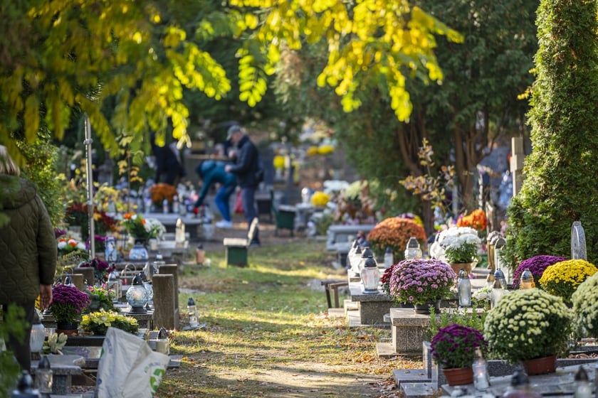 Tłumy na wrocławskich nekropoliach. Zobaczcie zdjęcia, 1 listopada 2024
