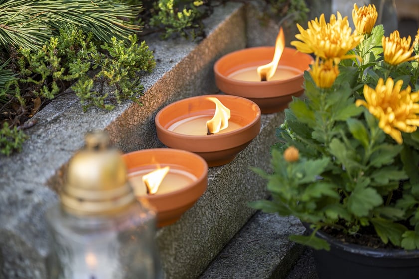 Tłumy na wrocławskich nekropoliach. Zobaczcie zdjęcia, 1 listopada 2024