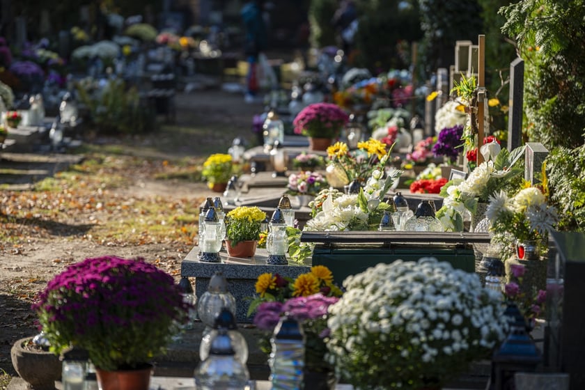 Tłumy na wrocławskich nekropoliach. Zobaczcie zdjęcia, 1 listopada 2024
