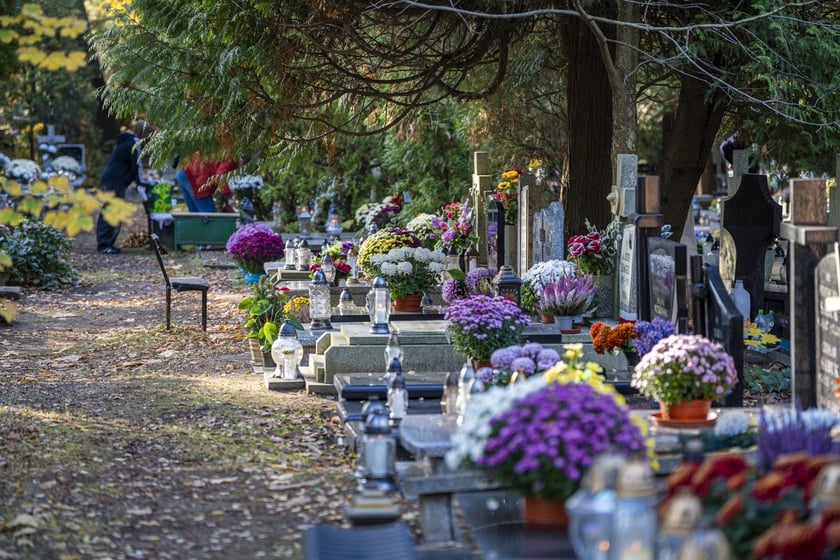 Tłumy na wrocławskich nekropoliach. Zobaczcie zdjęcia, 1 listopada 2024