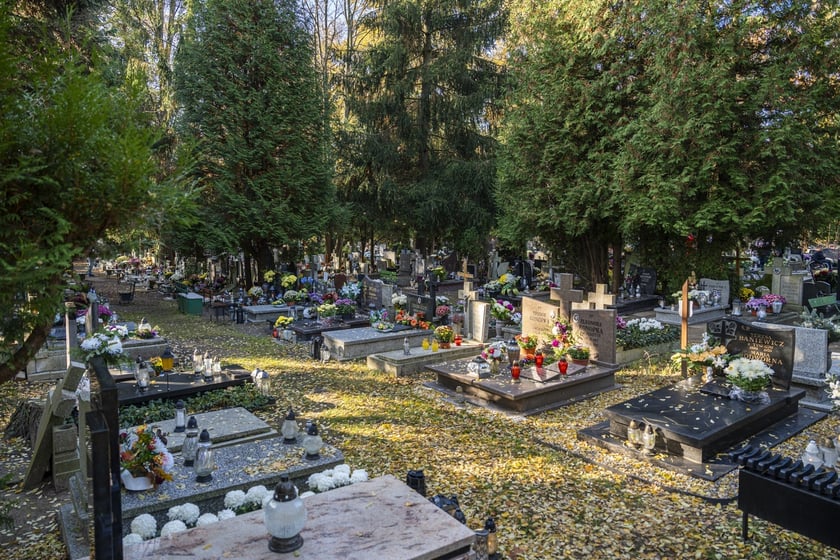 Tłumy na wrocławskich nekropoliach. Zobaczcie zdjęcia, 1 listopada 2024