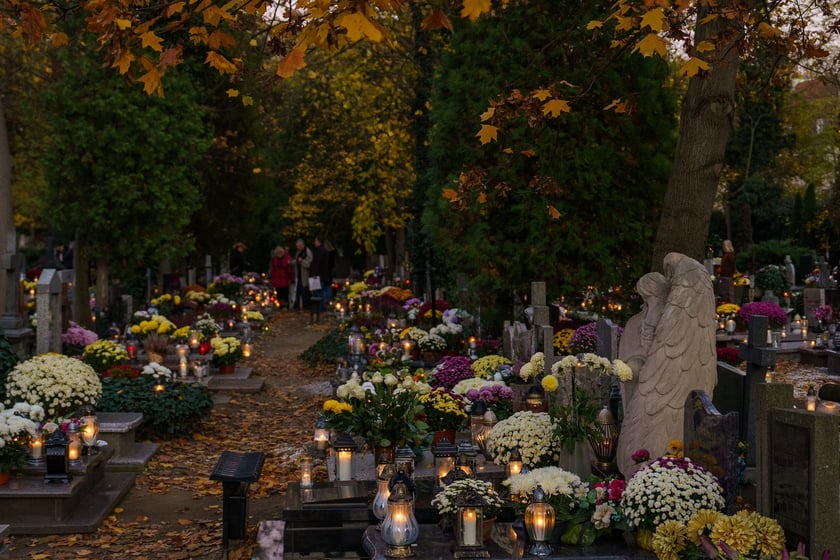 Nekropolie we Wrocławiu, 1 listopada 2024
