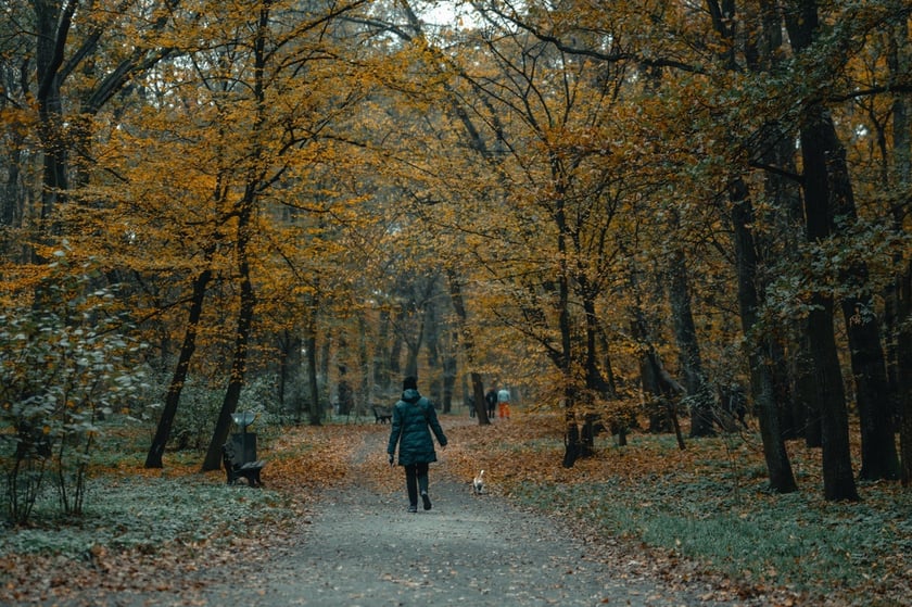 Park Zachodni we Wrocławiu