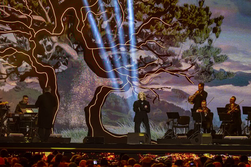 Koncert na wrocławskim Rynku, 11.11.2024