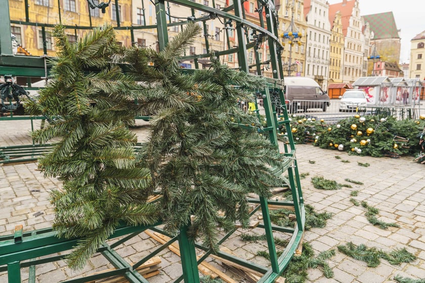 Montaż nowej choinki w Rynku we Wrocławiu - zdjęcia z 19.11.2024