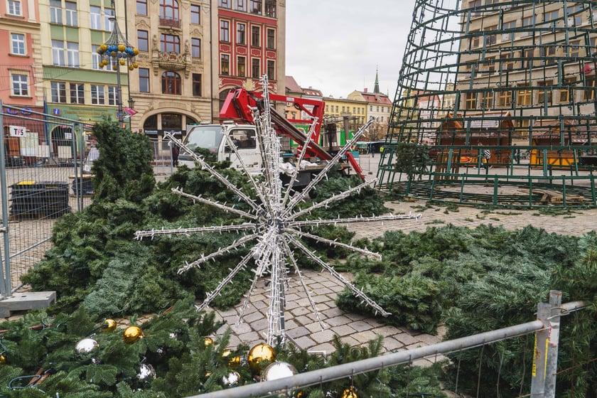 Montaż nowej choinki w Rynku we Wrocławiu - zdjęcia z 19.11.2024