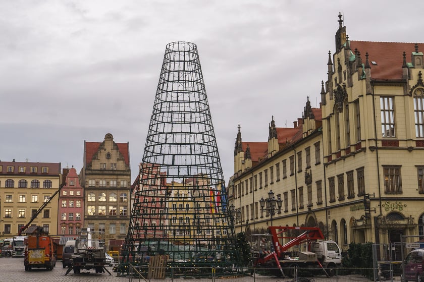 Montaż nowej choinki w Rynku we Wrocławiu - zdjęcia z 19.11.2024