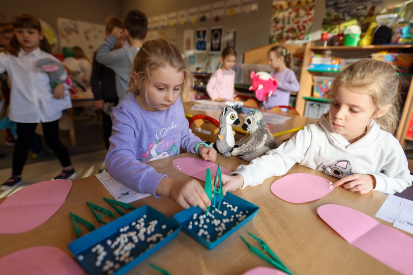 Klinika pluszowego misia w przedszkolu "Niezapominajka". Wrocław, 25.11.2024