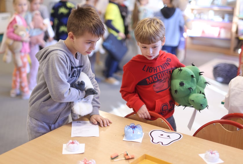 Klinika pluszowego misia w przedszkolu "Niezapominajka". Wrocław, 25.11.2024
