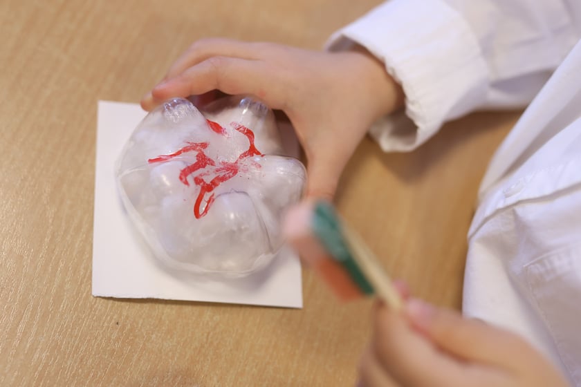 Klinika pluszowego misia w przedszkolu "Niezapominajka". Wrocław, 25.11.2024