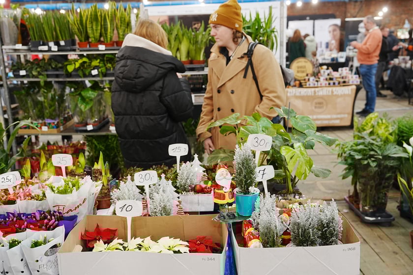 Na festiwalu Kupuj Świadomie w Czasoprzestrzeni można wybierać m.in. wśród słodkości, ozdób, ubrań i roślin