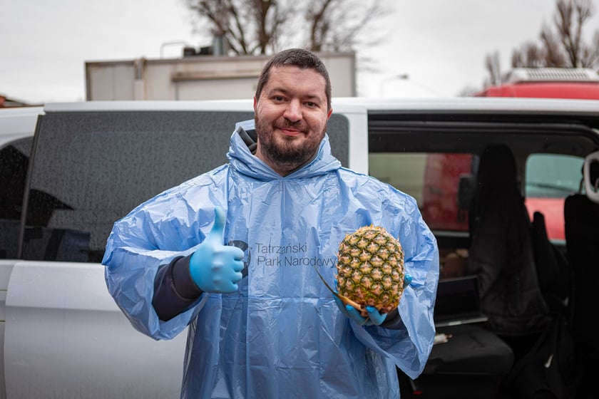 Targ "Na Młynie" - kupić tu można rzeczy zwykłe i te mniej zwykłe