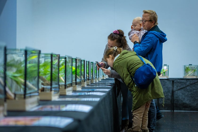 Targi terrarystyczne na Tarczyński Arenie (8 grudnia 2024 roku)