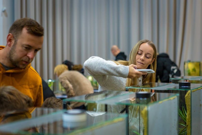 Targi terrarystyczne na Tarczyński Arenie (8 grudnia 2024 roku)