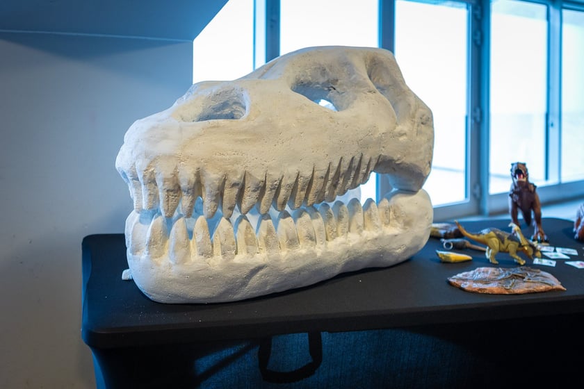 Targi terrarystyczne na Tarczyński Arenie (8 grudnia 2024 roku)