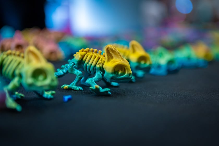 Targi terrarystyczne na Tarczyński Arenie (8 grudnia 2024 roku)