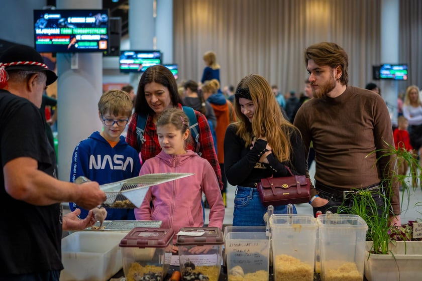 Targi terrarystyczne na Tarczyński Arenie (8 grudnia 2024 roku)