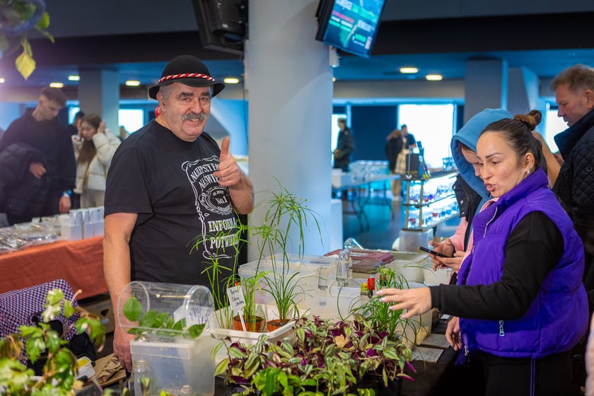 Targi terrarystyczne na Tarczyński Arenie (8 grudnia 2024 roku)