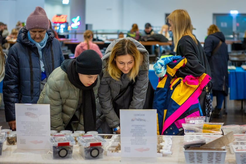 Targi terrarystyczne na Tarczyński Arenie (8 grudnia 2024 roku)
