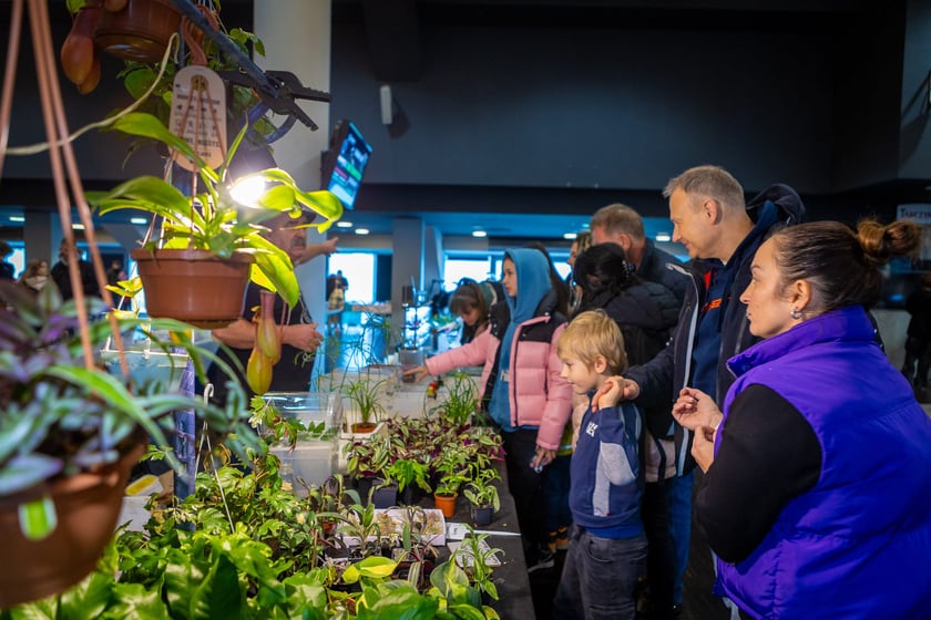 Targi terrarystyczne na Tarczyński Arenie (8 grudnia 2024 roku)