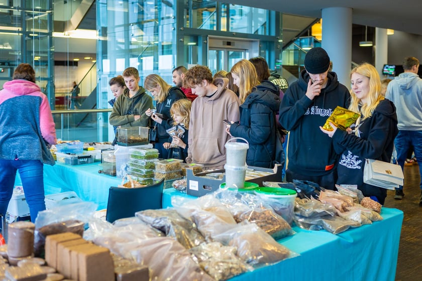 Targi terrarystyczne na Tarczyński Arenie (8 grudnia 2024 roku)