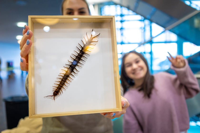 Targi terrarystyczne na Tarczyński Arenie (8 grudnia 2024 roku)