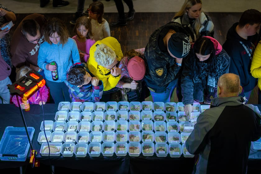 Targi terrarystyczne na Tarczyński Arenie (8 grudnia 2024 roku)