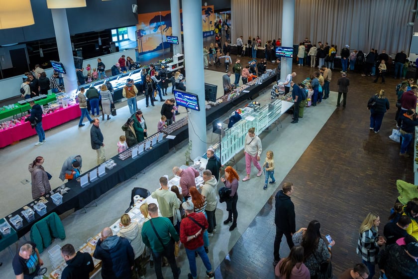 Targi terrarystyczne na Tarczyński Arenie (8 grudnia 2024 roku)