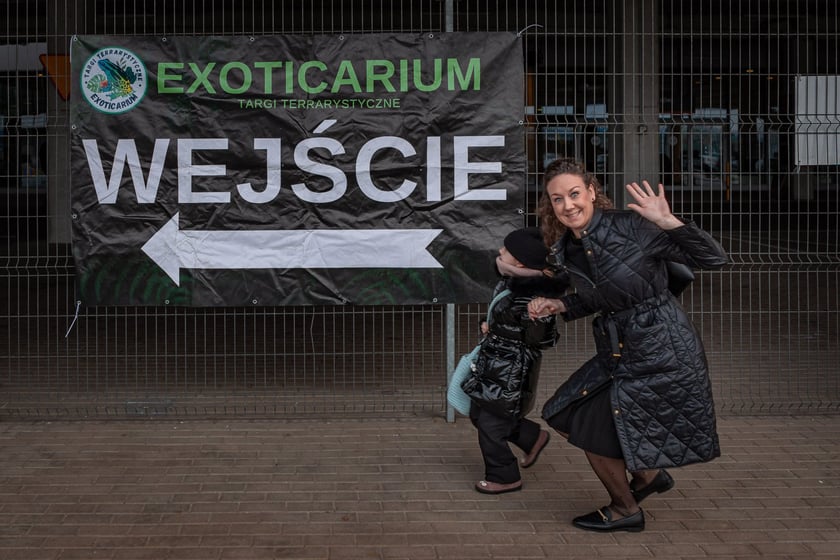 Targi terrarystyczne na Tarczyński Arenie (8 grudnia 2024 roku)