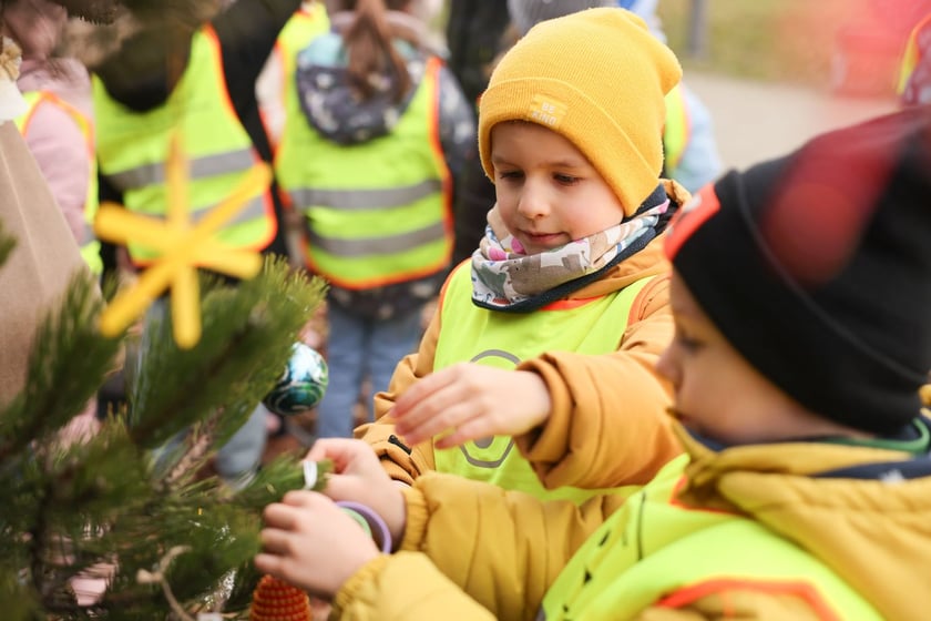Dzieci z Przedszkola nr 17 na wrocławskim Zakrzowie ubrały choinkę w Parku Jedności - 18.12.2024