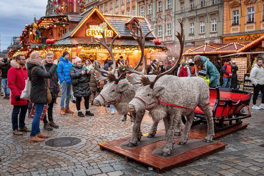 Niedziela na jarmarku - 22.12.2024