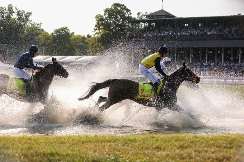 Wielka Wrocławska na Partynicach